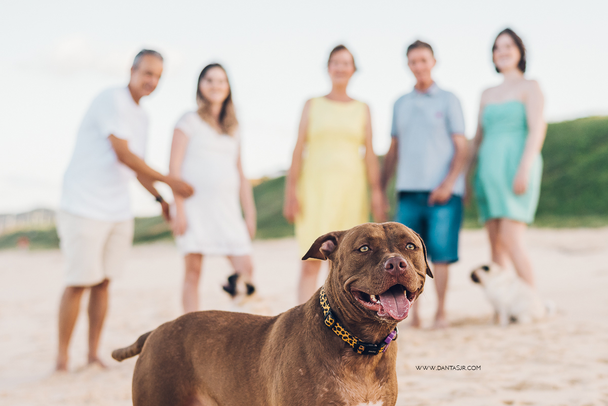 ensaio grávida, natal, rn, gravidez, pregnant, ensaio de grávida na praia, fotografia de grávida, fotógrafo de grávidas, ensaio de grávida no campo, pipa, grávida fitness, cachorro