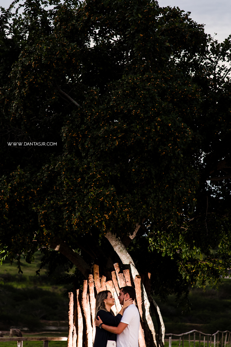 ensaio de casamento, fotografia de casamento, fotógrafo de casamento, trash the dress, casais, casal, wedding, pre wedding, noiva, natal,  rn, save the date, casamento fazenda real, casamento praia, pipa, fotografia criativa de casais