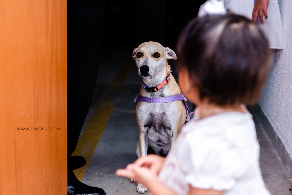 batizado, fotografo batizado em natal, batizado fotos espontâneas, batismo, natal, rn, batizado emocionante, igreja de são pedro alecrim