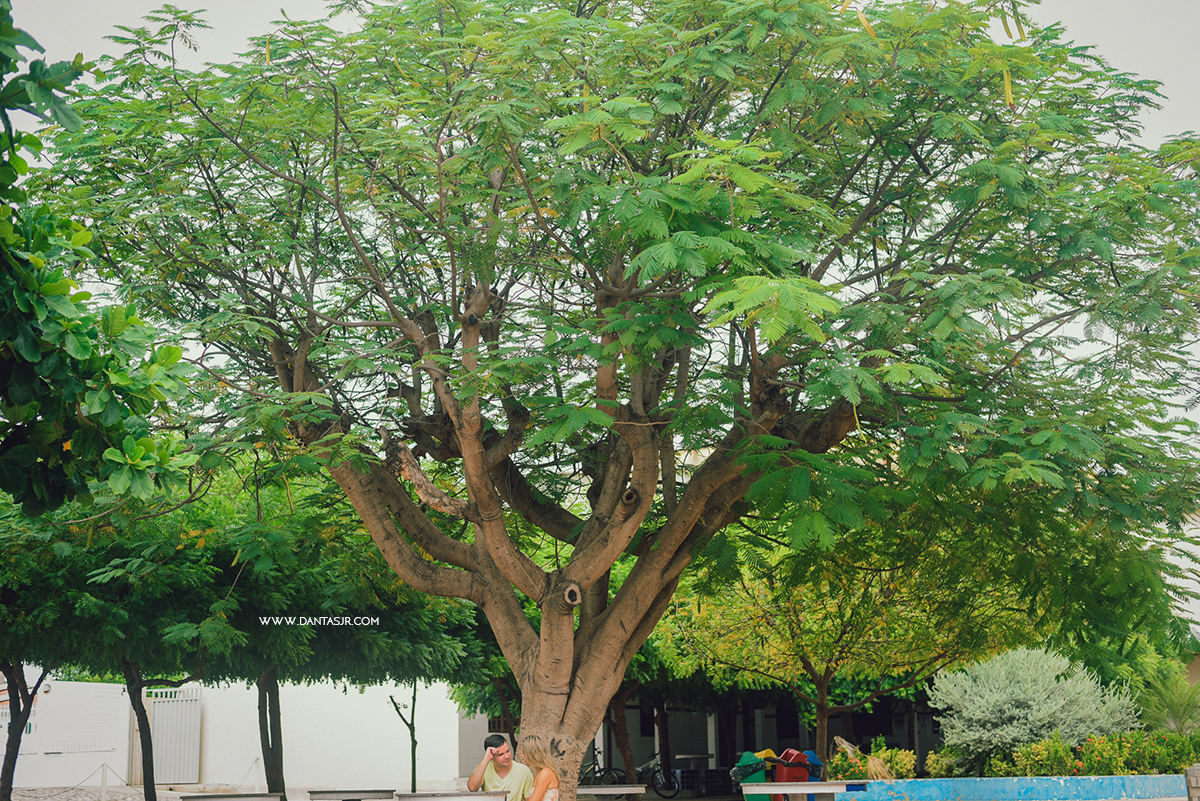 ensaio de casamento, fotografia de casamento, fotógrafo de casamento, trash the dress, casais, casal, wedding, pre wedding, noiva, natal,  rn, save the date, casamento fazenda, casamento praia, pipa