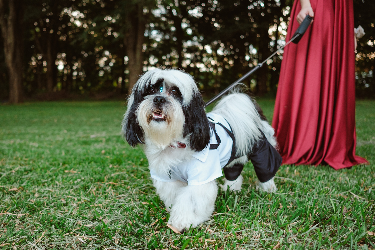 casamento ar livre estilo rustico