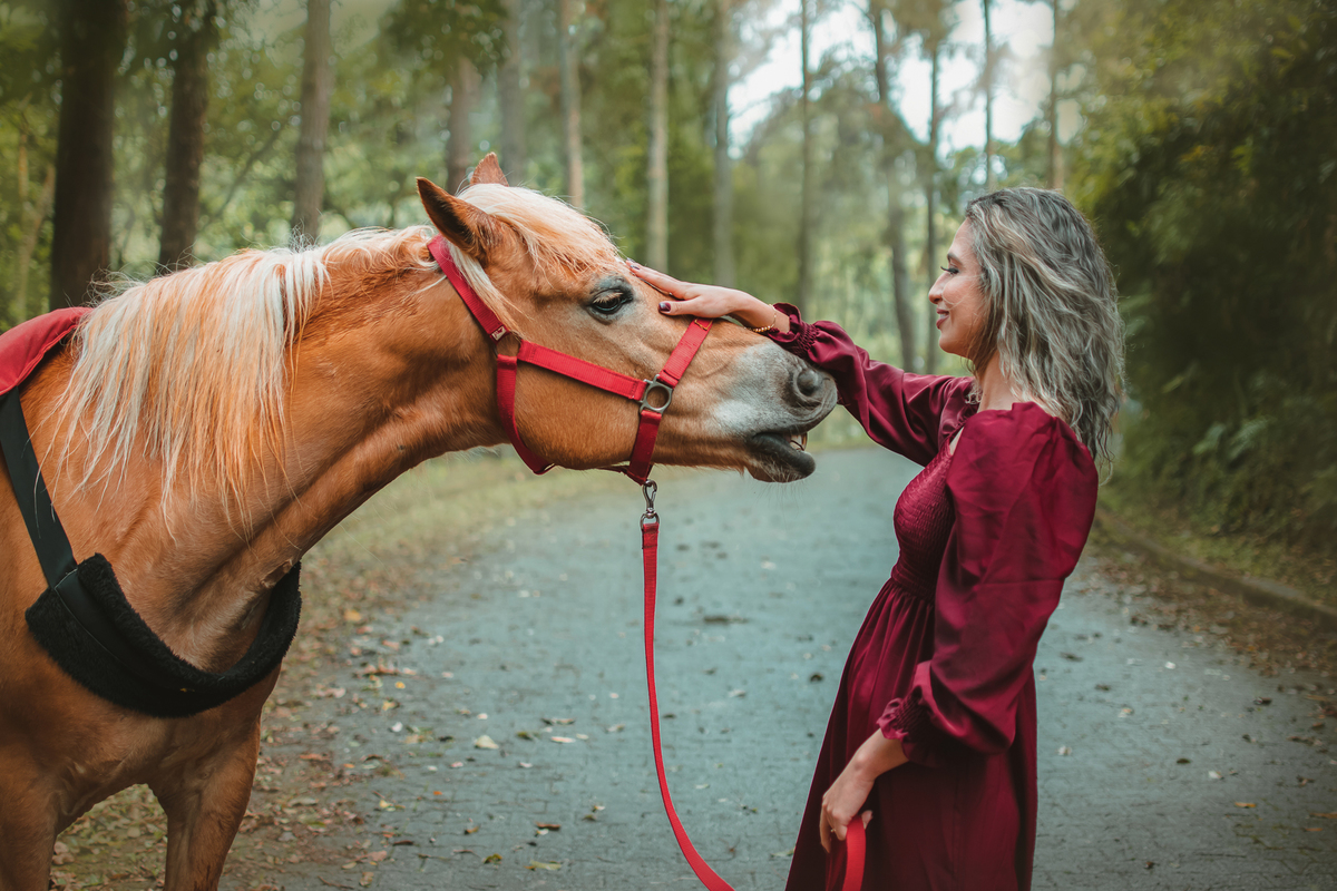 ensaio fotográfico de 30 anos na equoterapia voo de liberdade, ensaio fotográfico externo com cavalos, fotografia artística. Fotógrafo em São Bernardo do Campo. Ensaio fotográfico com cavalos, ensaio feminino 30 anos. ensaio vintage, cotagecore.
