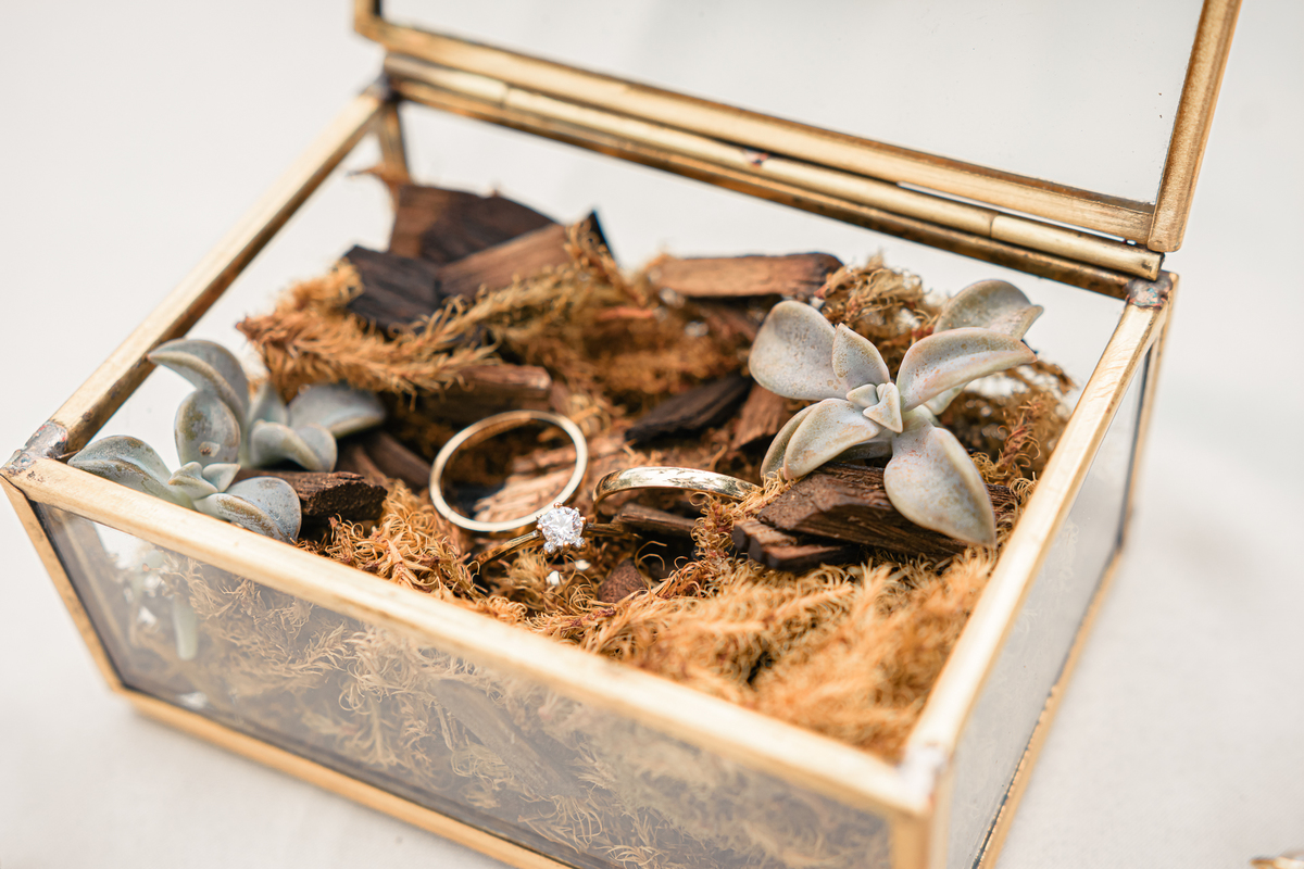 Casar de dia, regiao dos lagos, rio das ostras, rj, pousada, ao ar livre, lindo, melhor lugar, fotografo, aliancas, porta joia