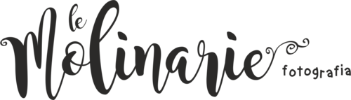 Logotipo de Le Molinarie