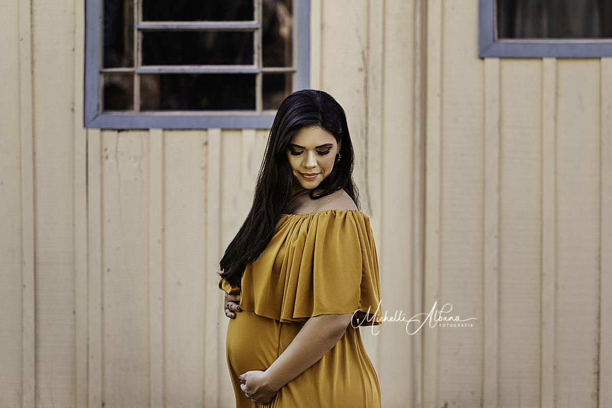 Ensaio Gestante Vanessa
Michelli Albano Fotografia
Londrina