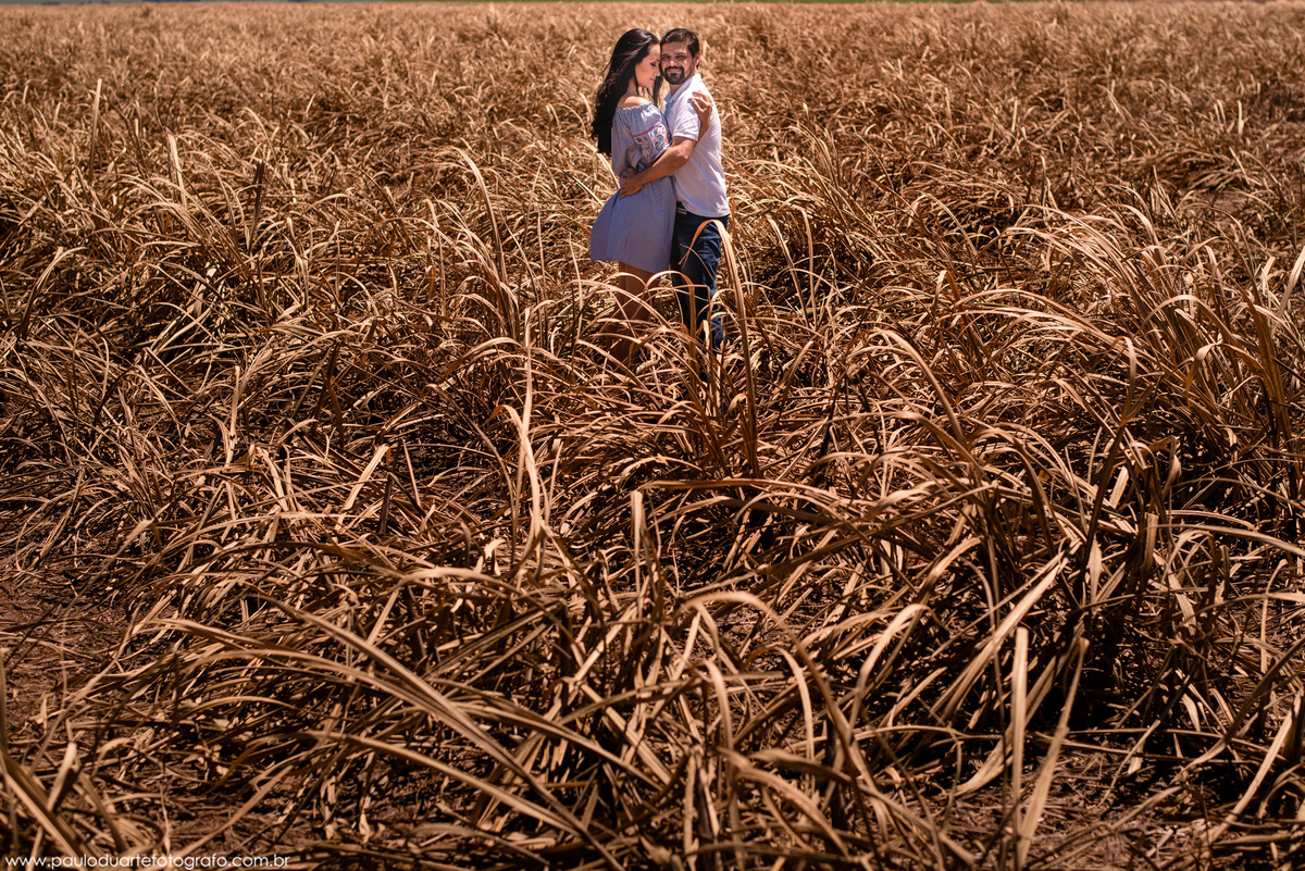 foto de casal no campo plantação de milho