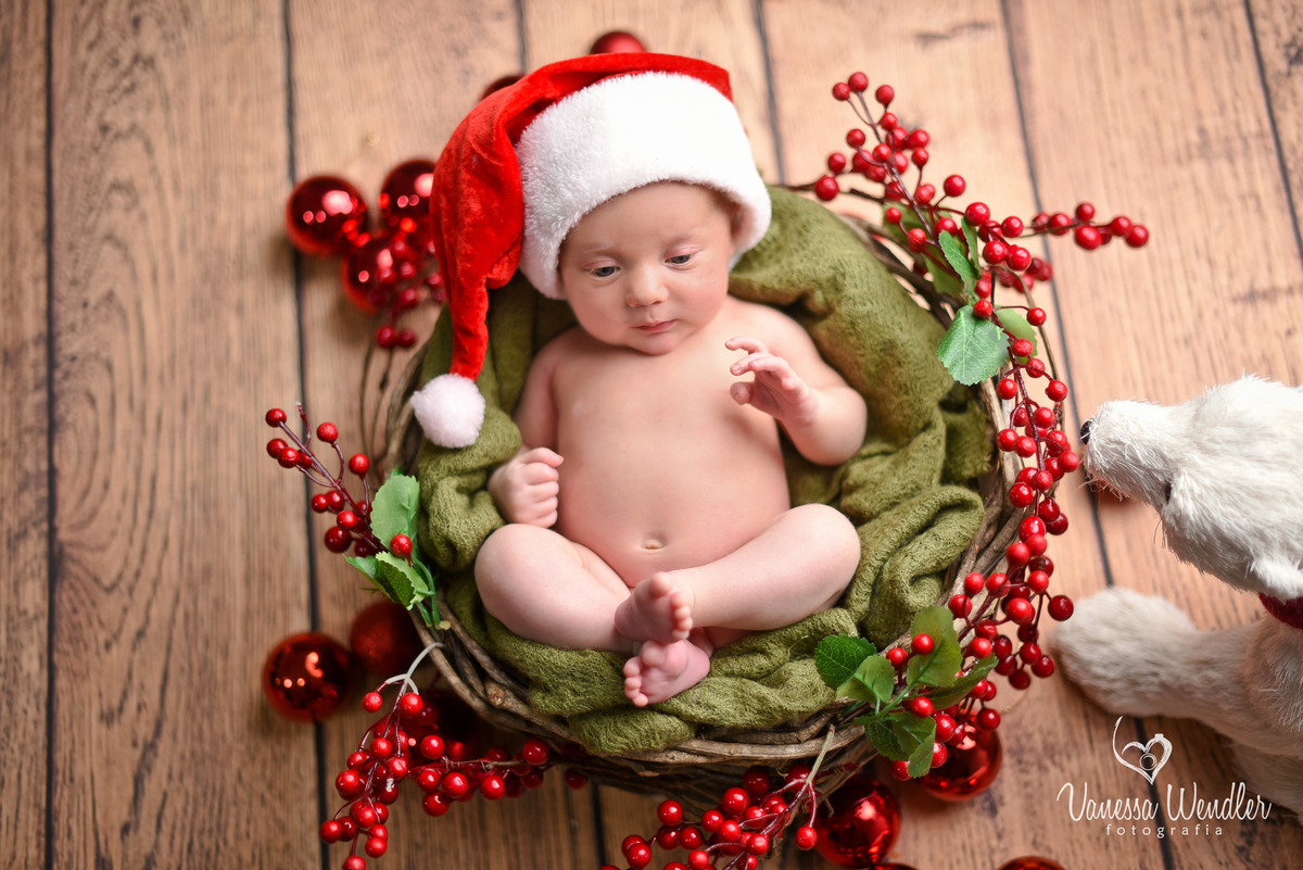 natal newborn 