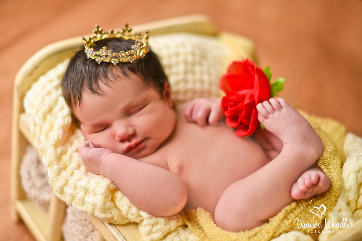 fotografia guarapuava