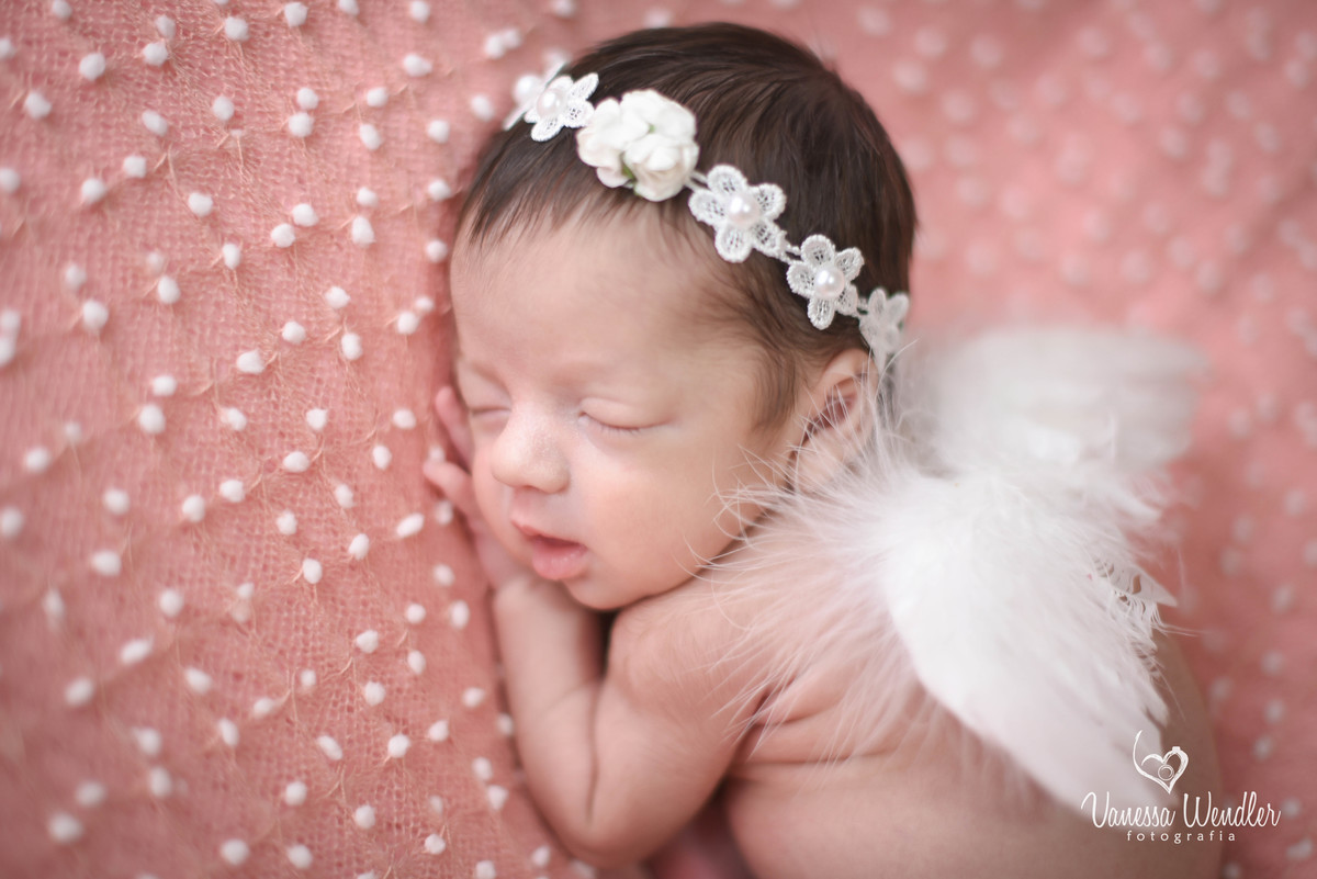 newborn anjinho
guapuava
paraná