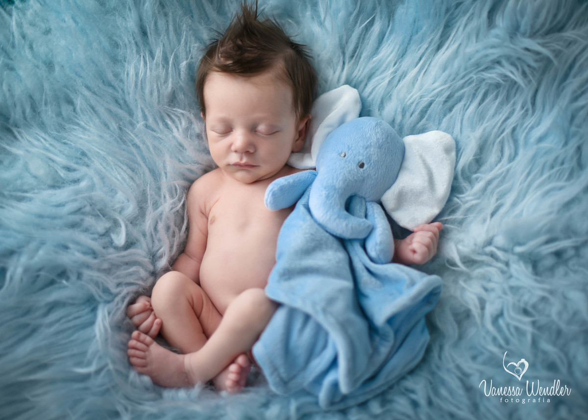 elefante, bebê, recém nascido