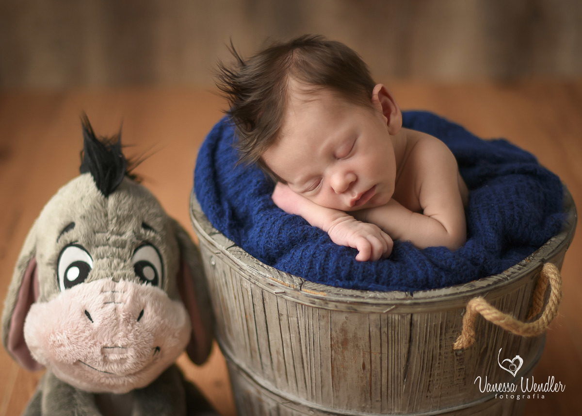 pooh, newborn, fotografia, fotos de bebês, bebê cabeludo, topete, neném, mãe de menino, guarapuava