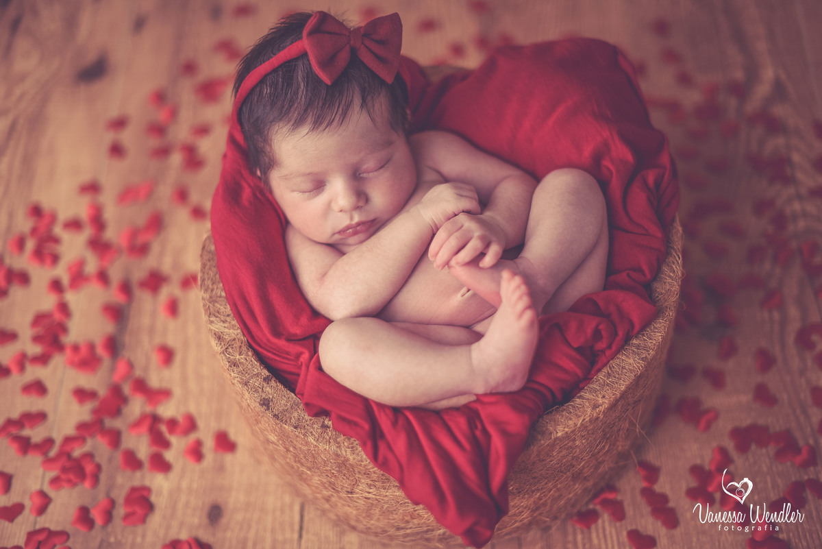 amor da vida, meu bebÊ, menina, newborn, vanessa wendler, guarapuava
