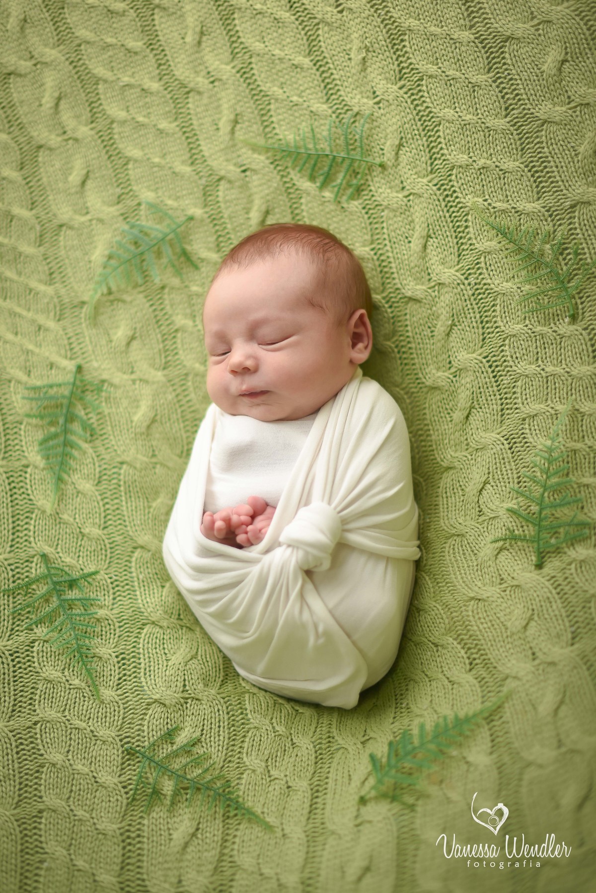 vida, bebê, natureza