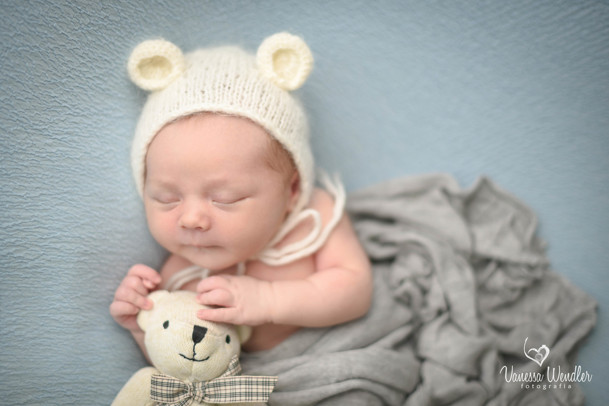 fotos, ursinho, bear