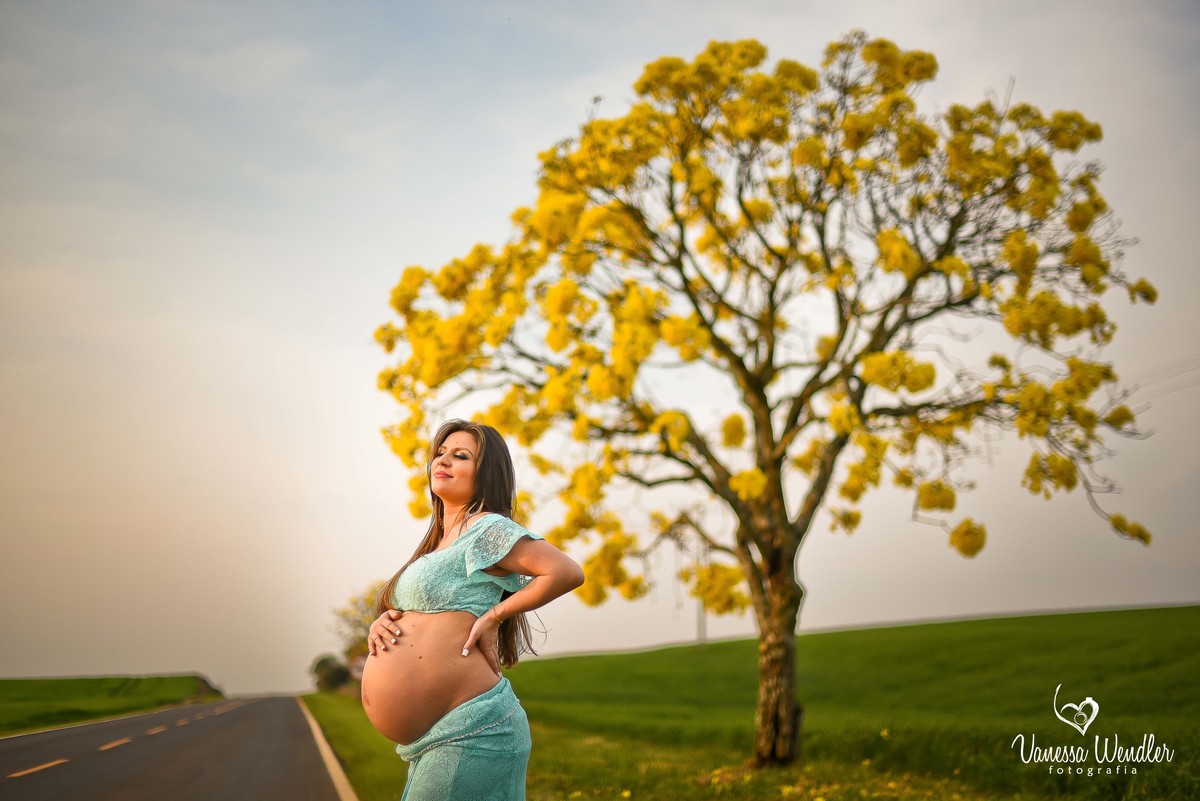 gravida, gestante, árvore