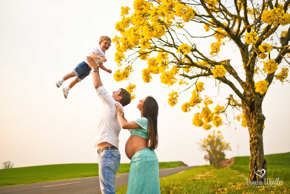 família, externas, família