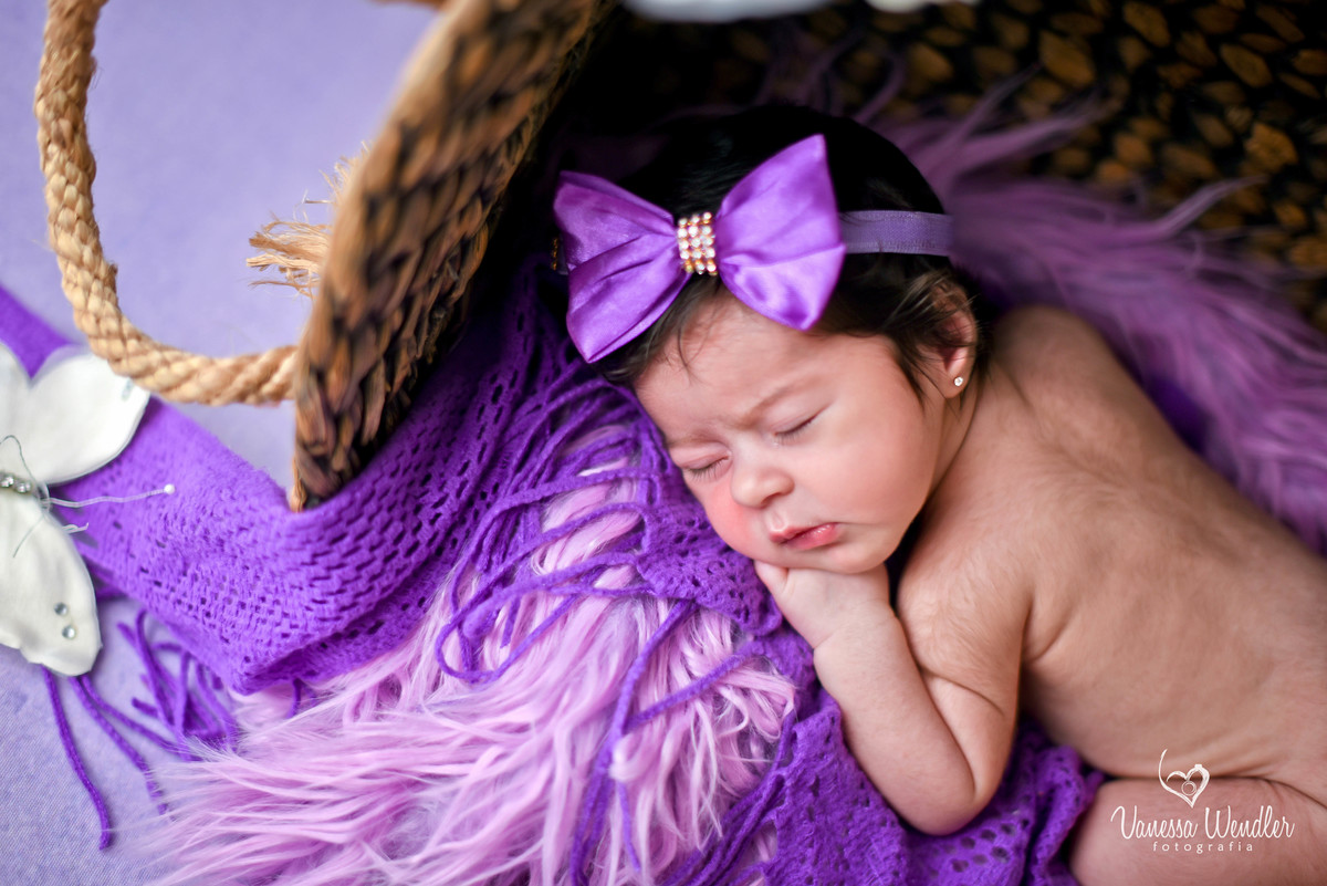 fotografia guarapuava