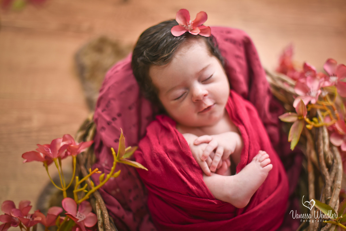 fotógrafos, guarapuava, recém nascidos