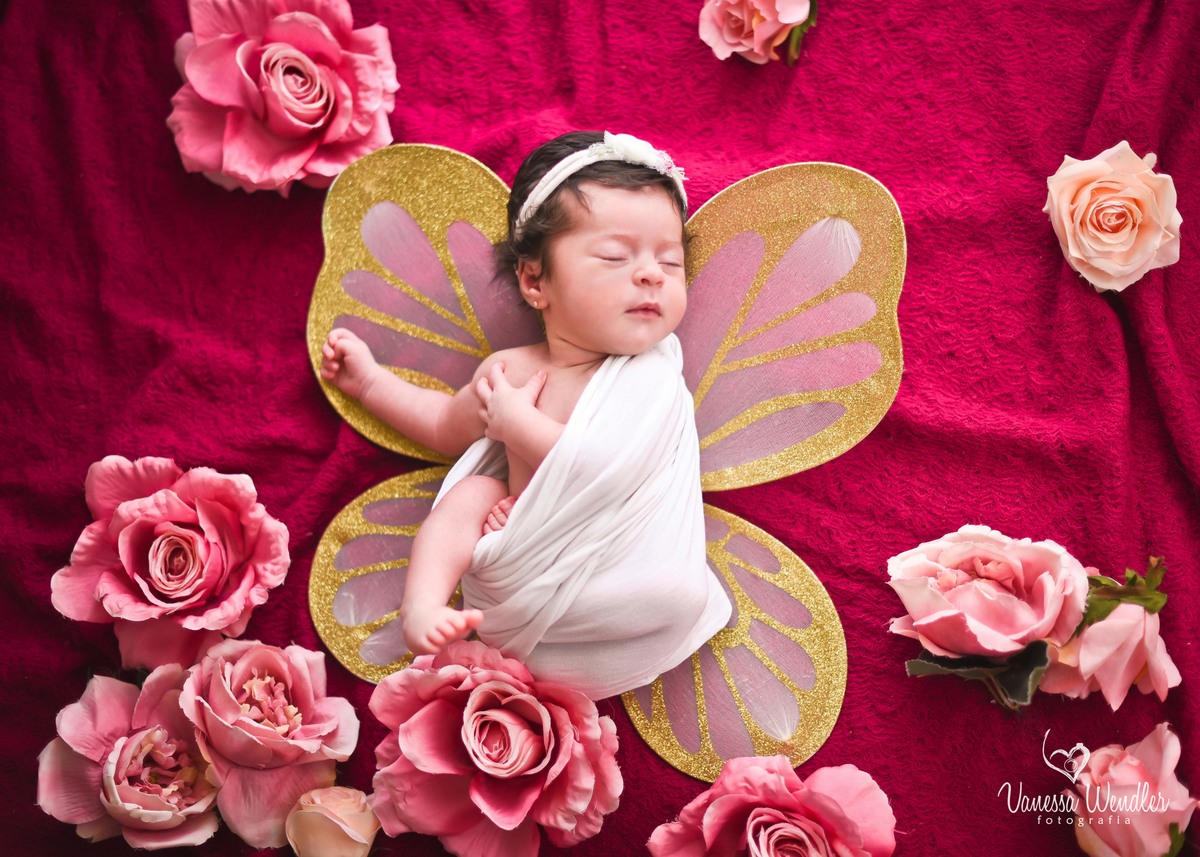 borboletinha, borboleta, recém nascida