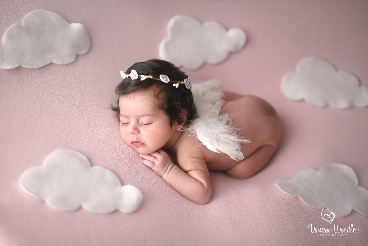 anjinho, guarapuava, estúdio