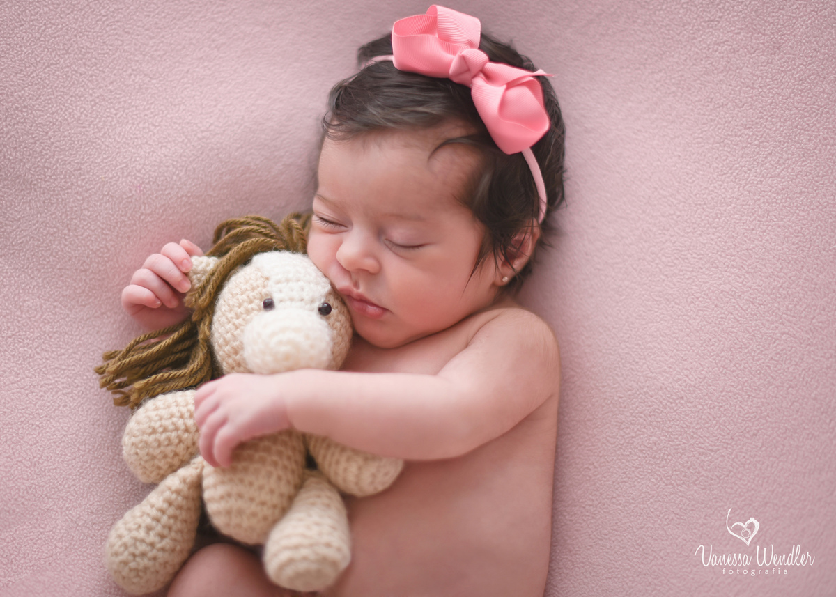 cavalinho, crochê, meninas, fotos