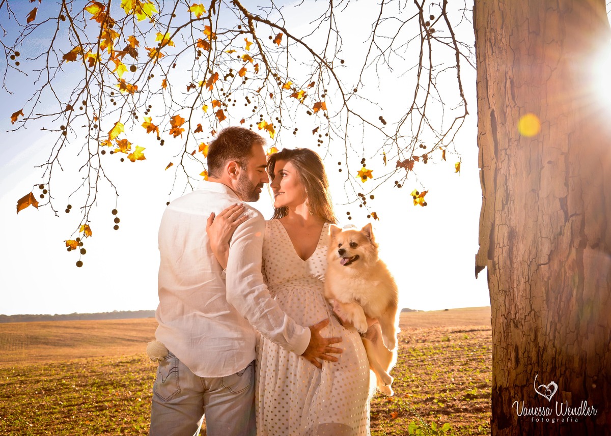 família, sol, dia ensolarado, guarapuava, sessão de fotos