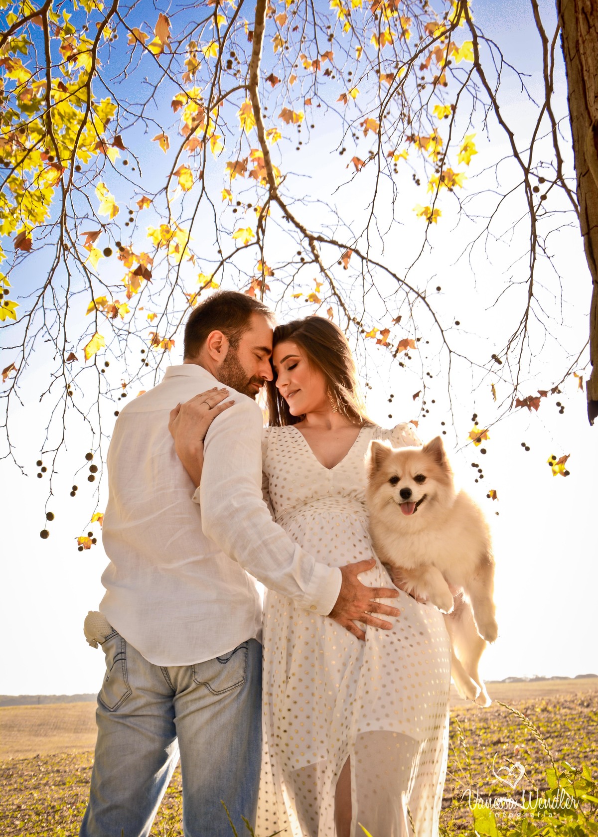 família, pet, fotos com cachorros