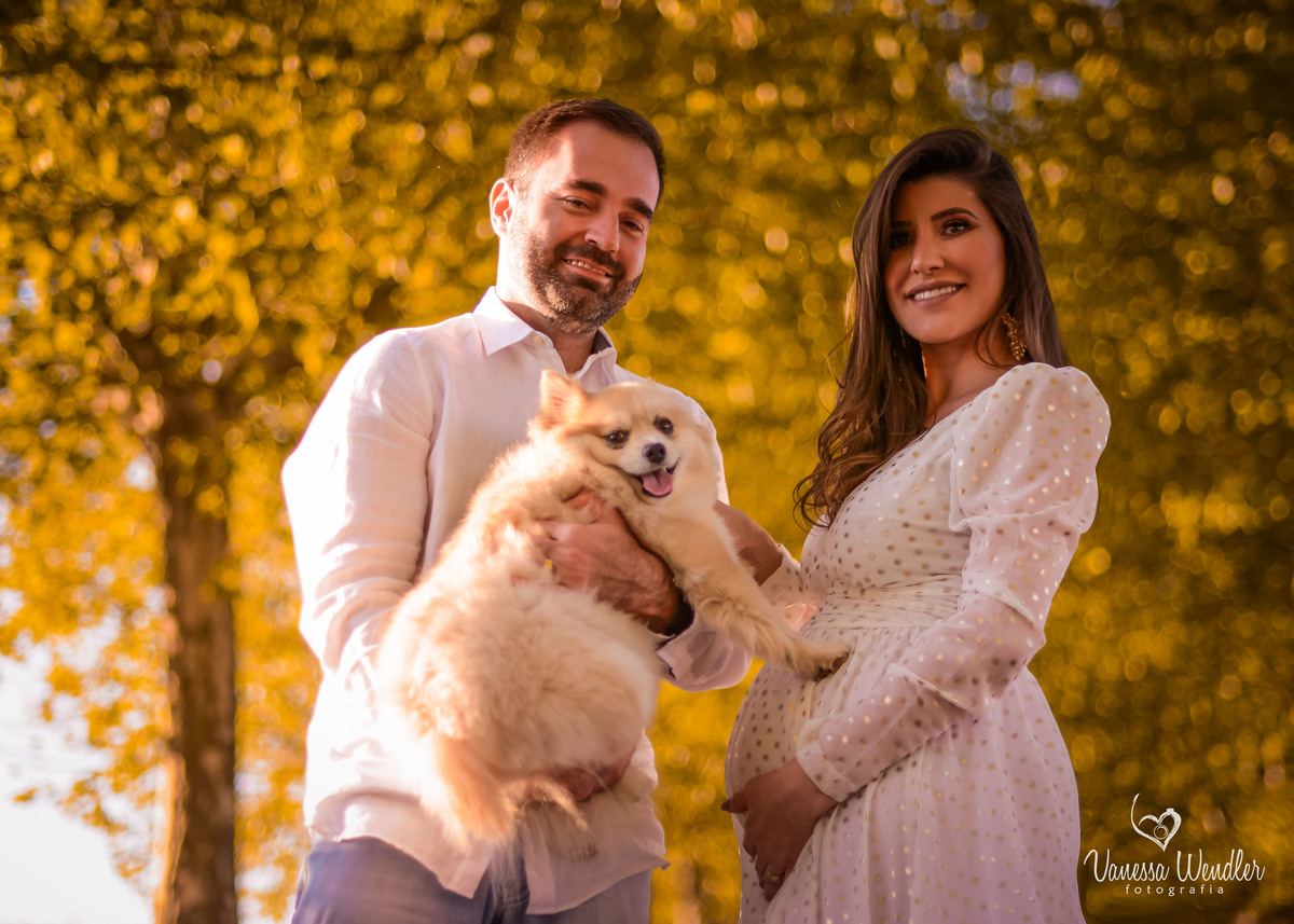 família, spitz alemão