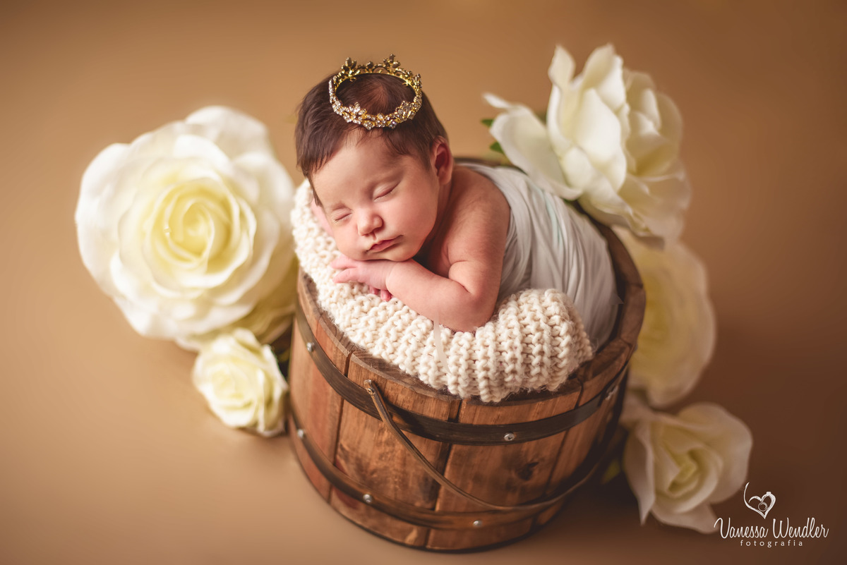 rosas, fotos criativas bebês