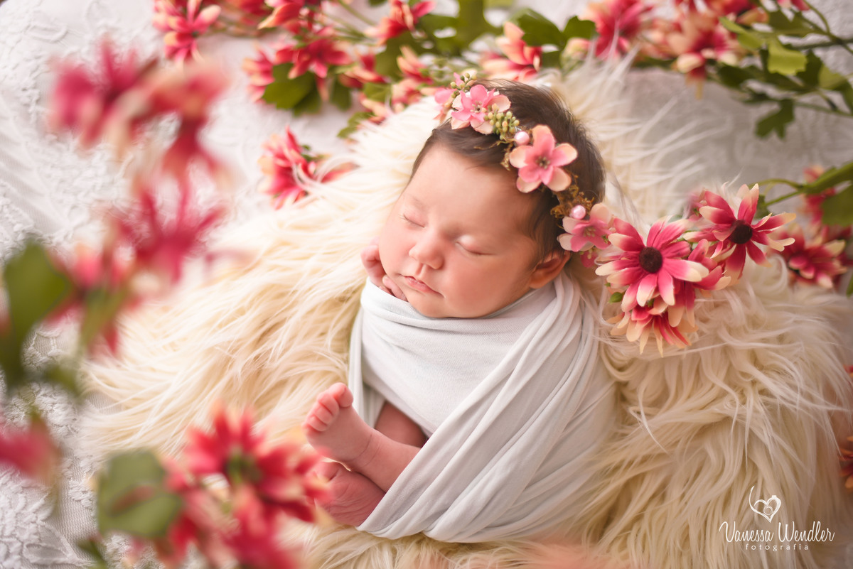 flores, delicadeza, bebê lindo