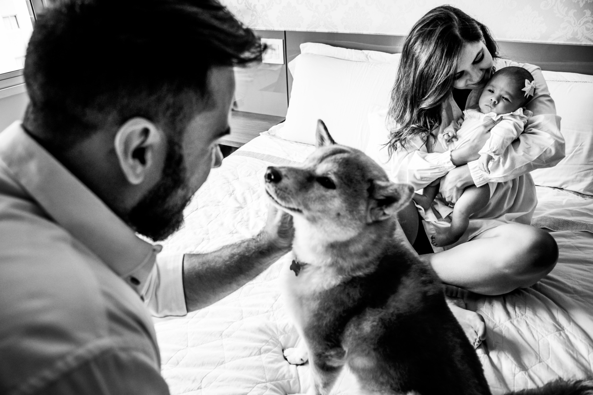 cachorro também é da família 