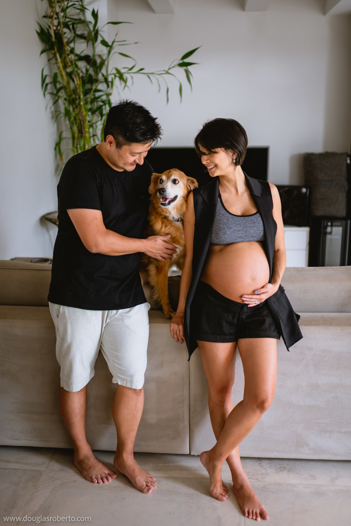 pet no ensaio gestante 