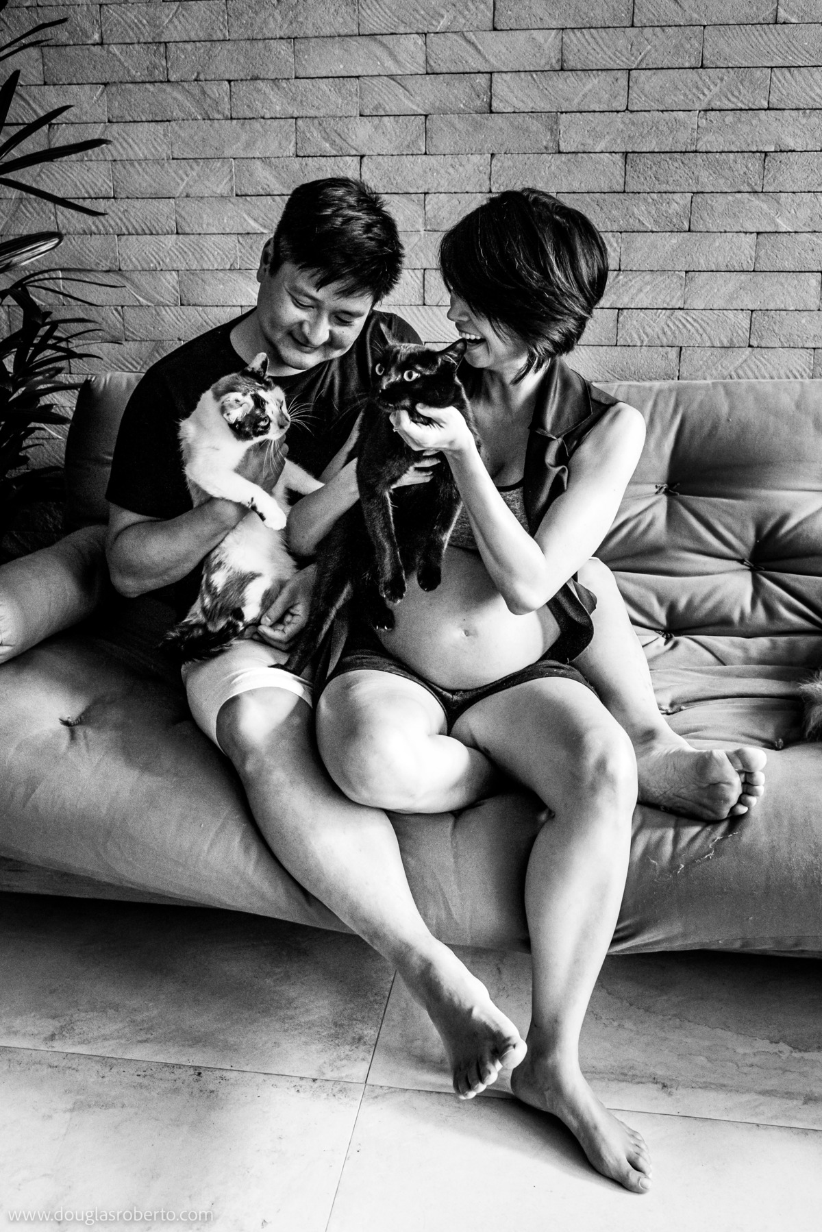 ensaio gestante com gatos 