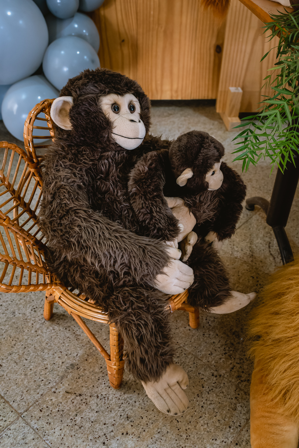 
Decoração infantil de zoologico bichos 