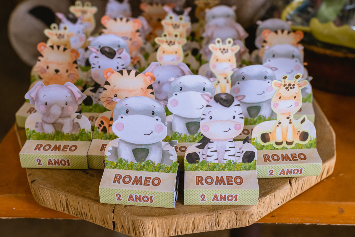 
Decoração infantil de zoologico bichos 