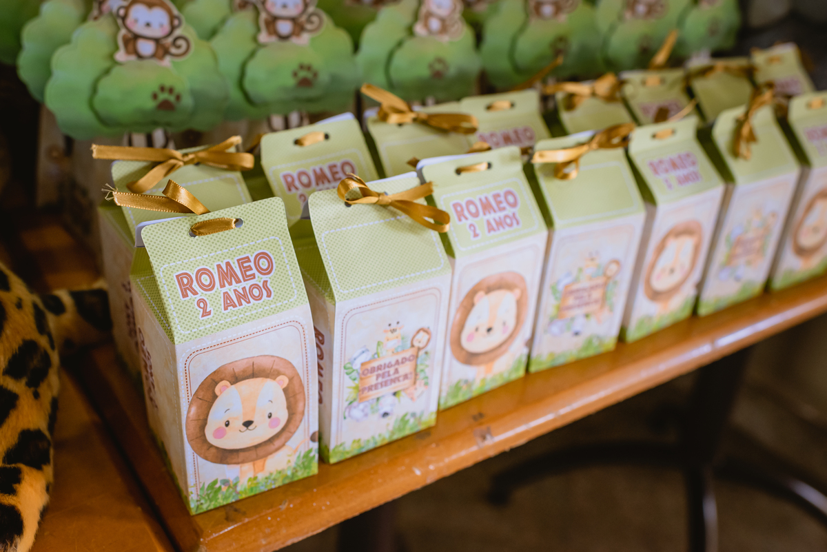 
Decoração infantil de zoologico bichos 