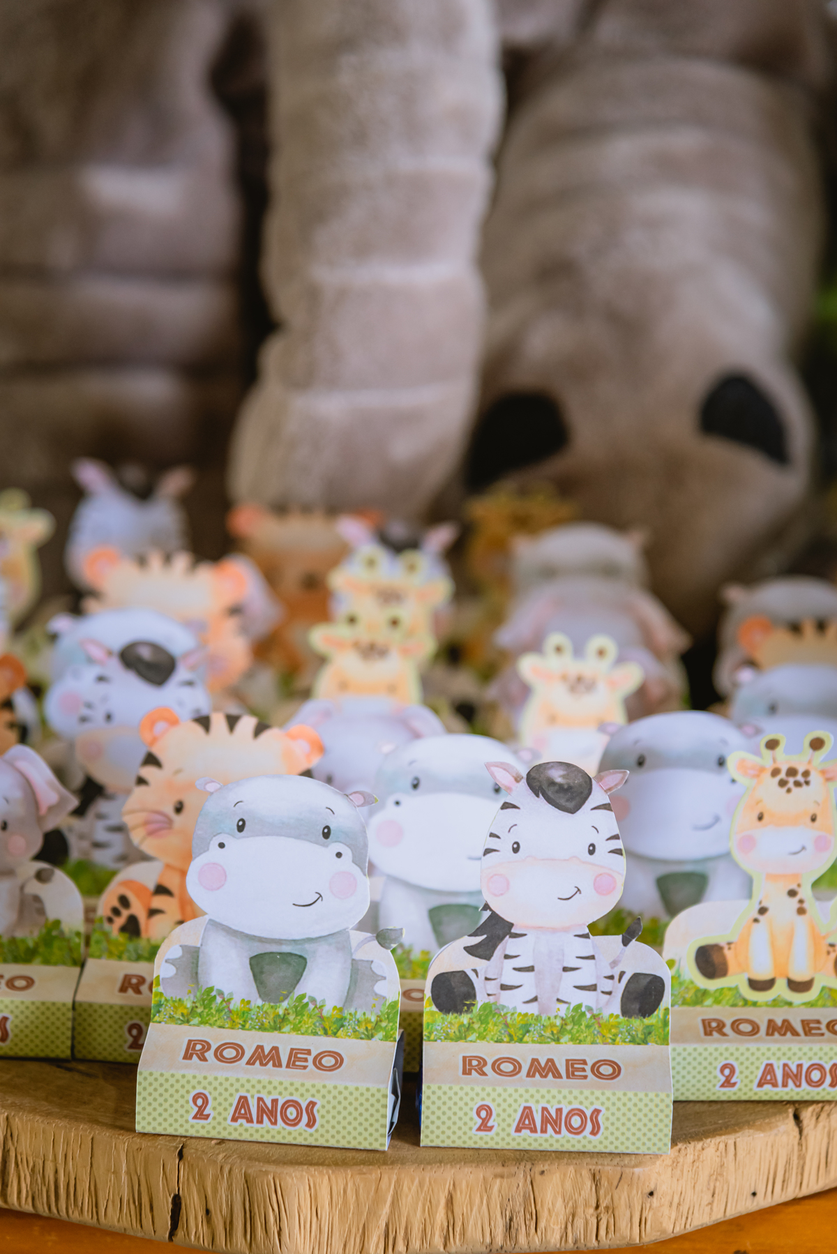 
Decoração infantil de zoologico bichos 