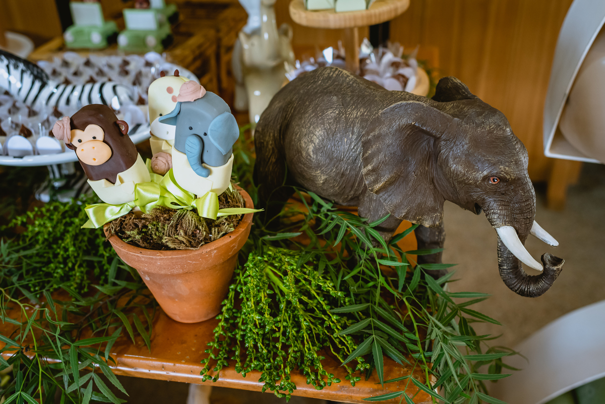 
Decoração infantil de zoologico bichos 