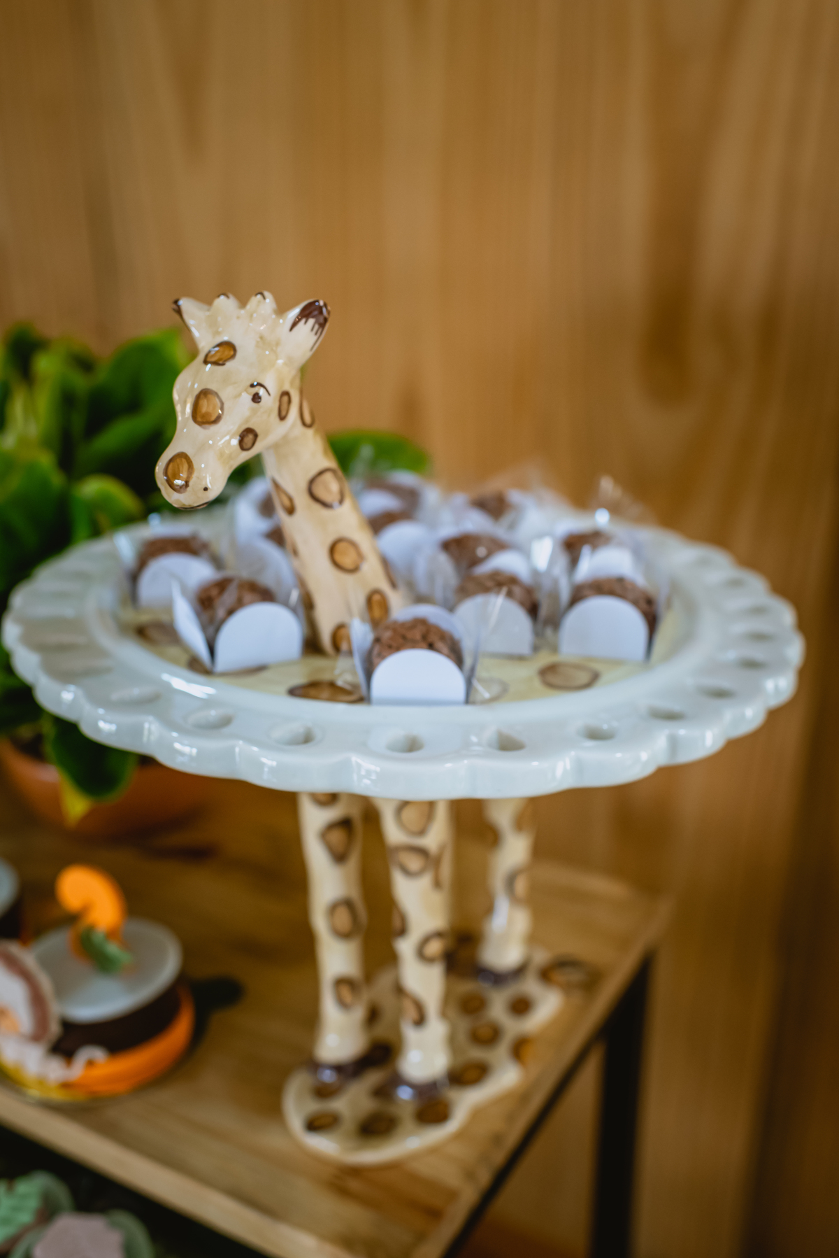 
Decoração infantil de zoologico bichos 