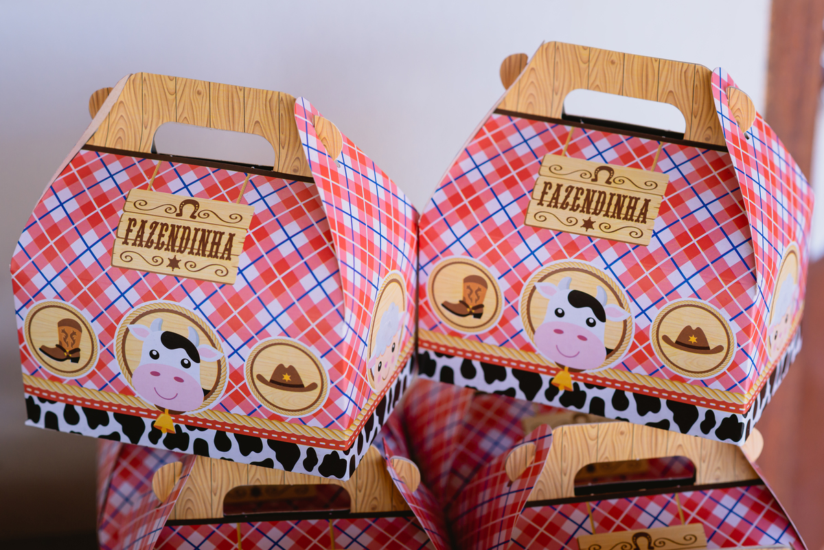 decoração de fazenda 