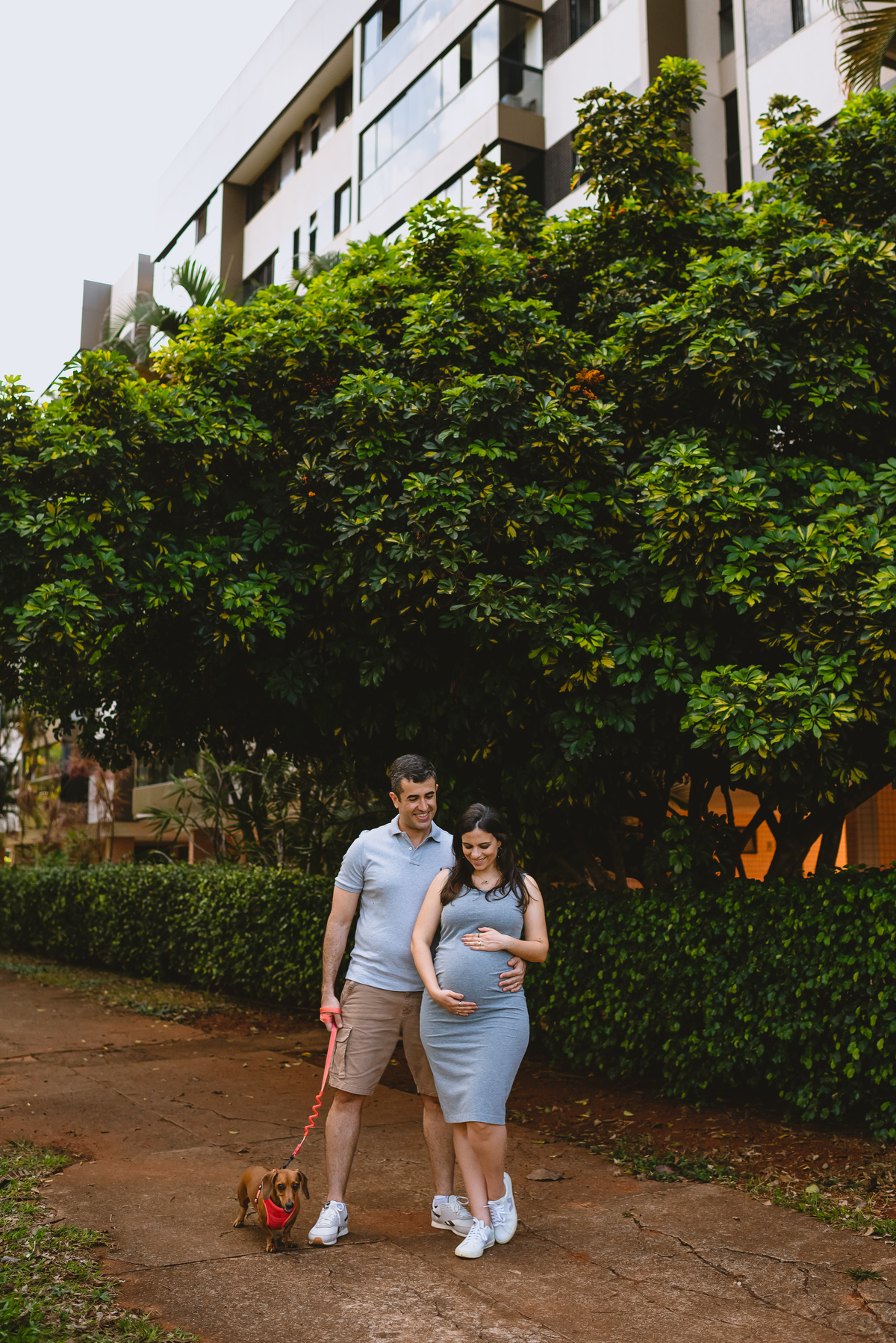 foto de gestante com o pet