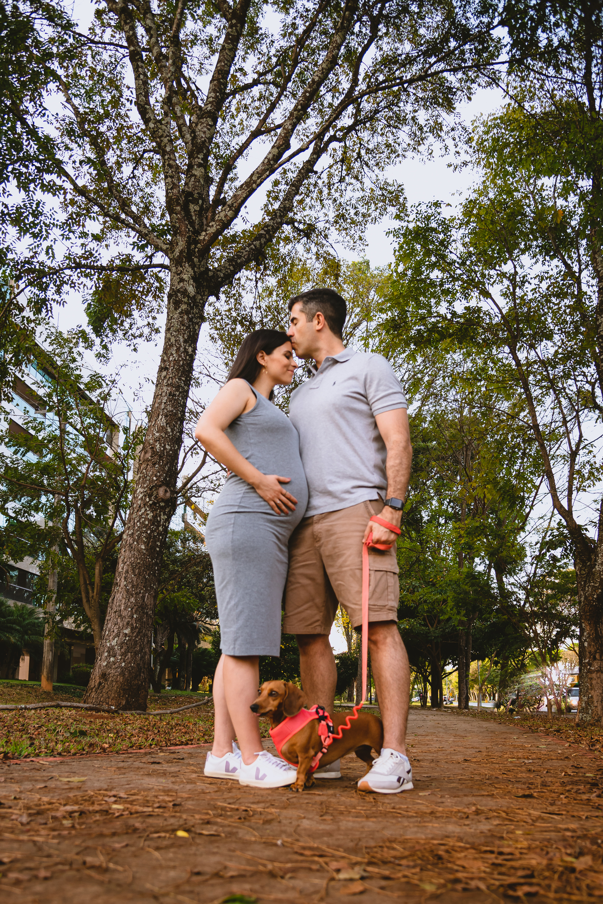 foto de gestante com o pet