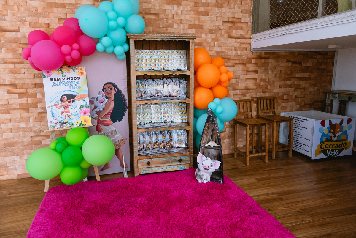 fotos festa cerrado Kids