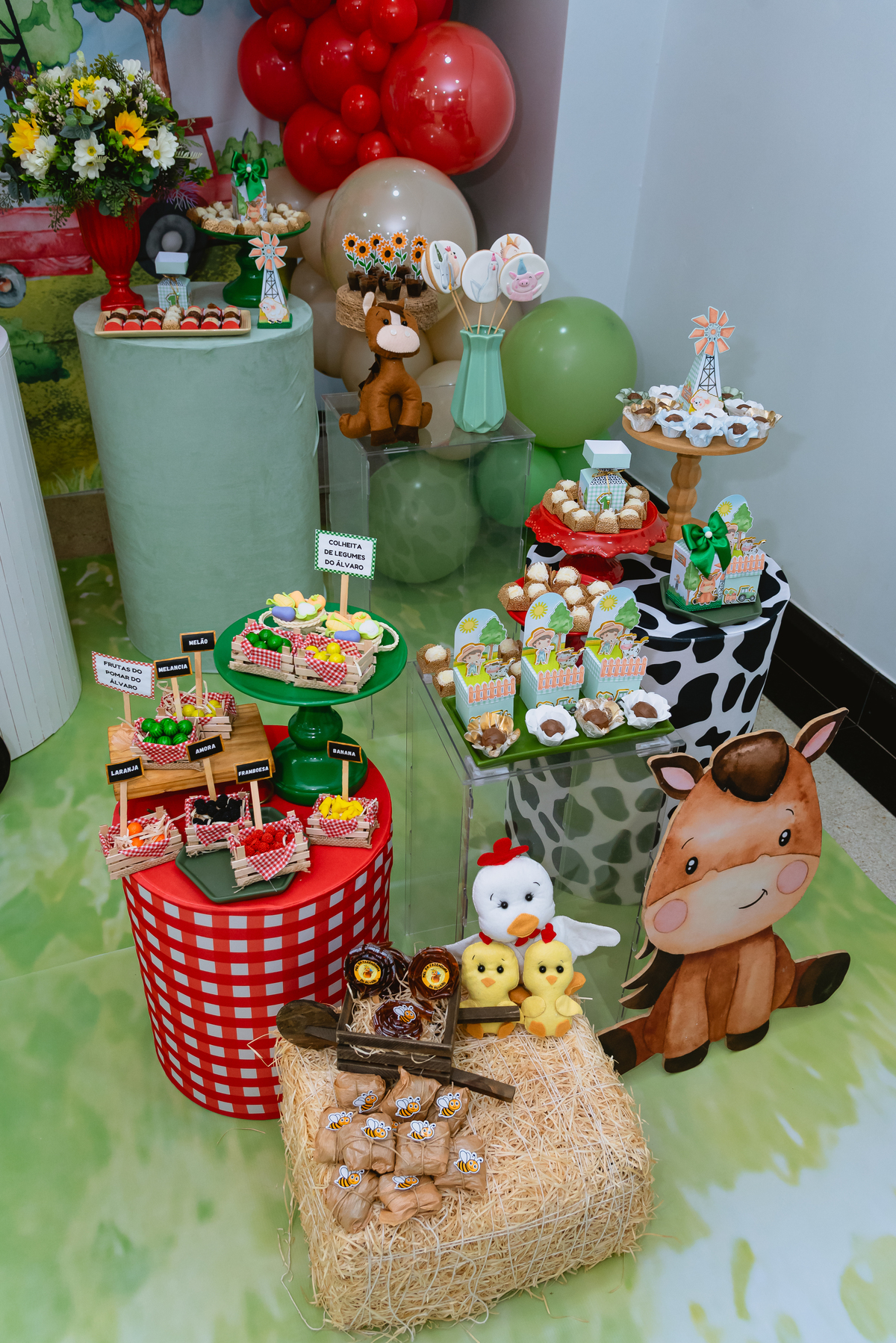 fotos de festa infantil - decoração fazendinha
