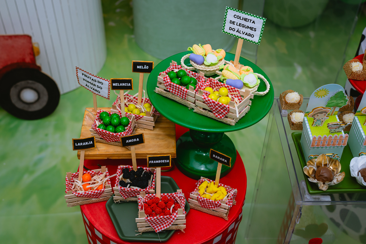 fotos de festa infantil - decoração fazendinha