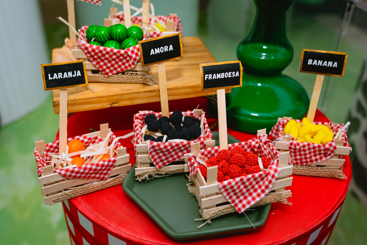 fotos de festa infantil - decoração fazendinha