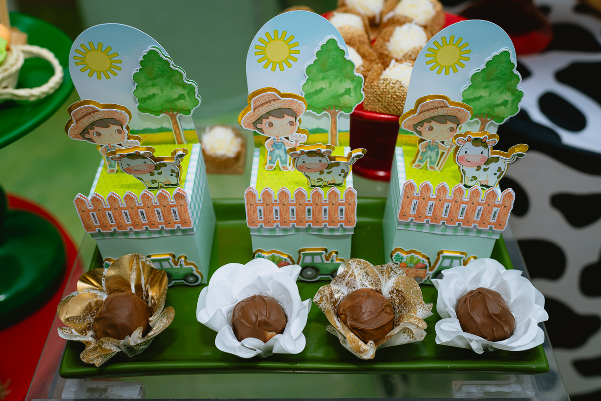fotos de festa infantil - decoração fazendinha