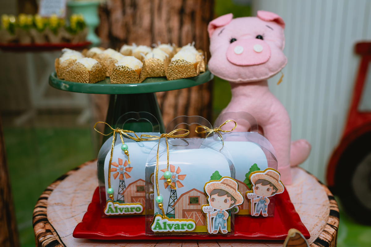 fotos de festa infantil - decoração fazendinha