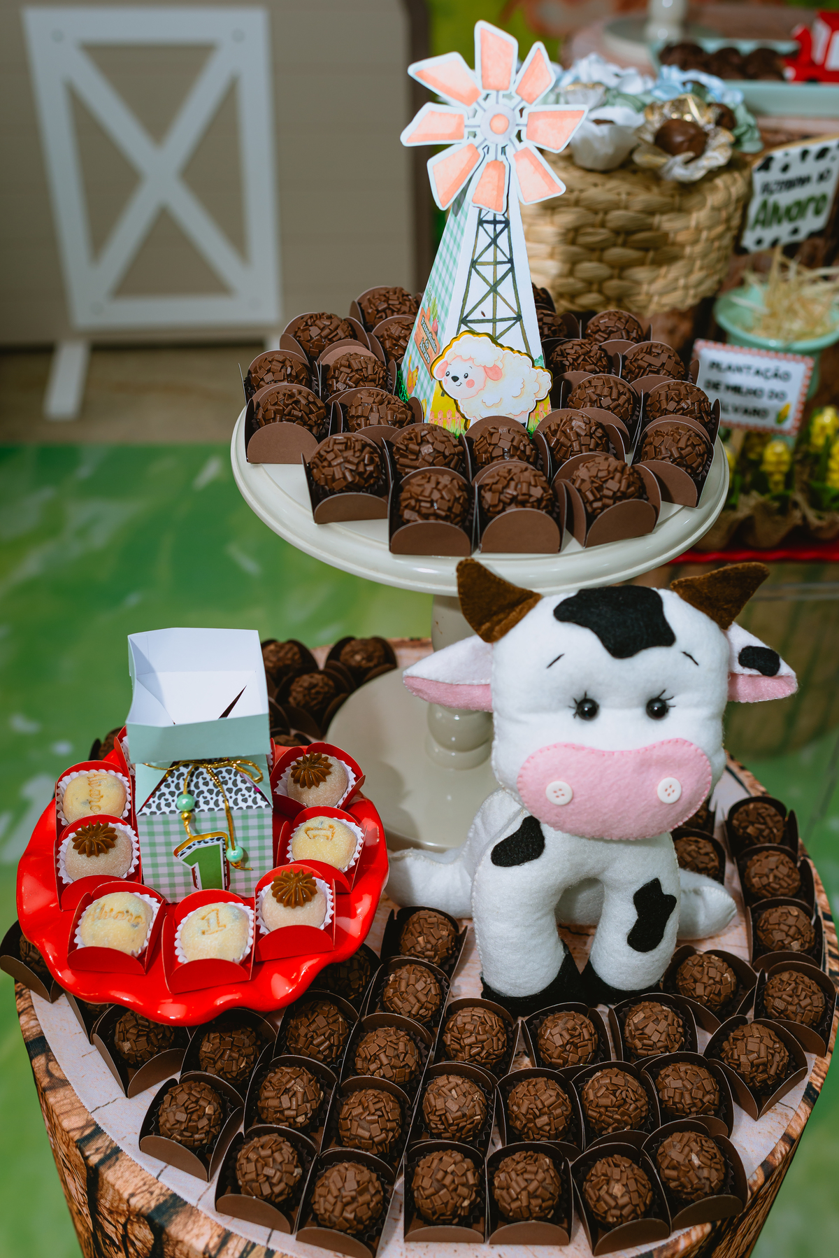 fotos de festa infantil - decoração fazendinha