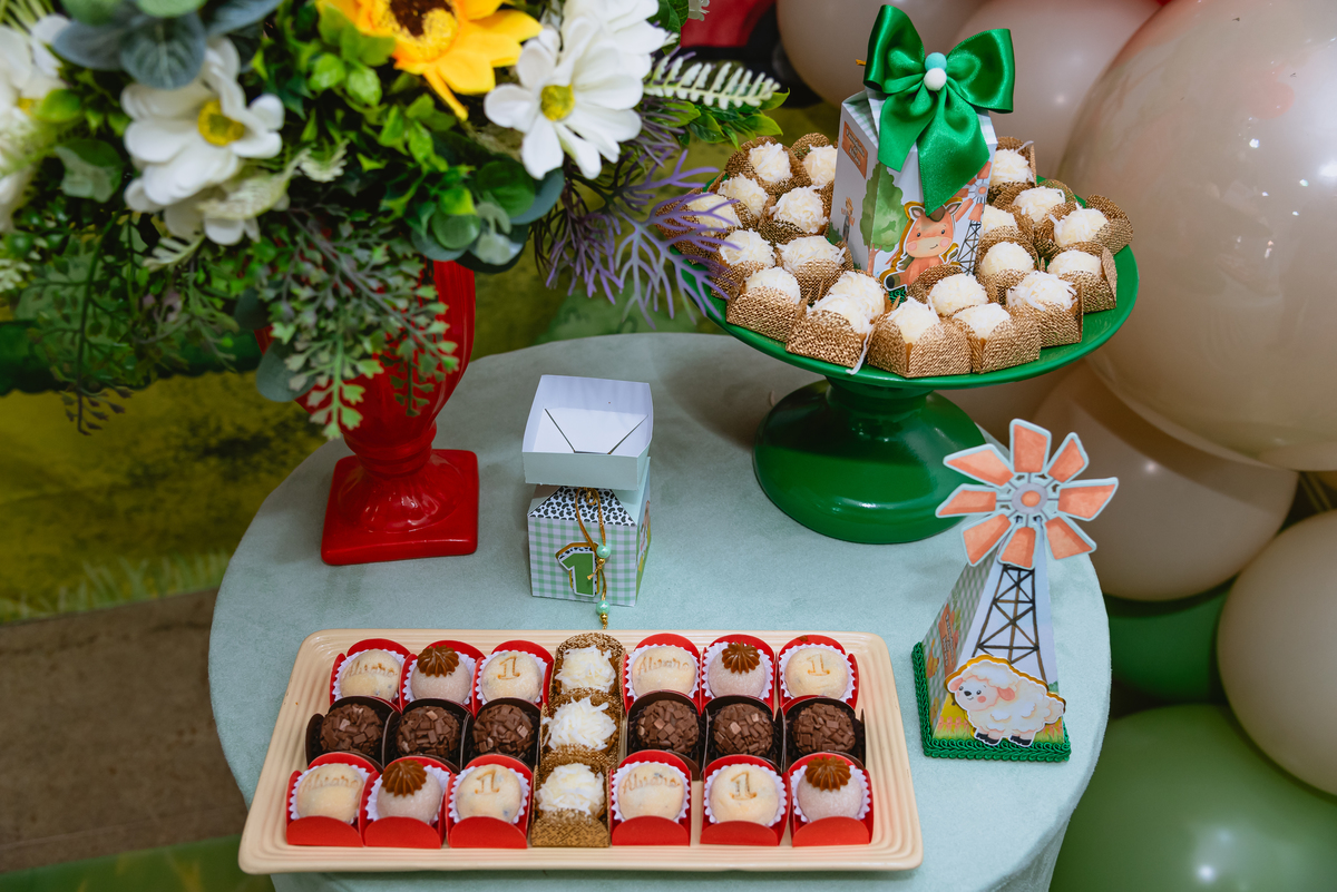 fotos de festa infantil - decoração fazendinha